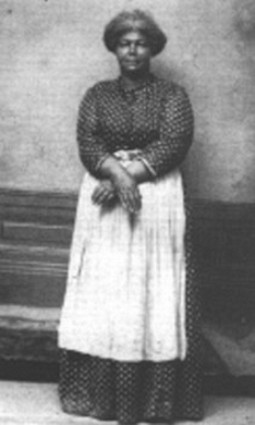 Growing Up Palm: The Turbulent Upbringing and Life of Alfred S. Palm