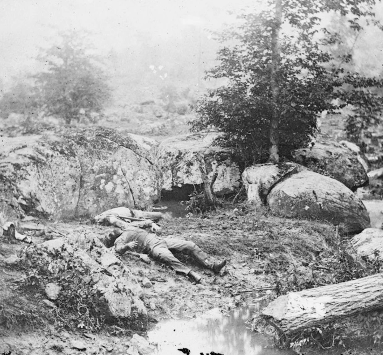 Discovering Plum Run: From Farmland to Battlefield